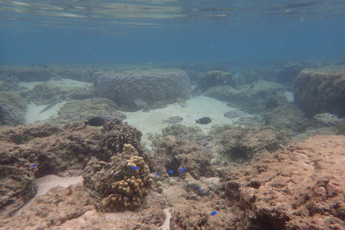 星の砂浜にて撮影