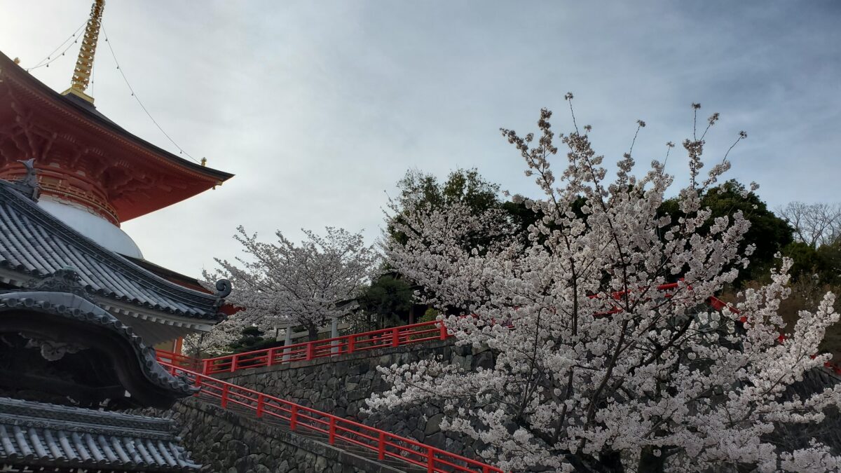 大願塔