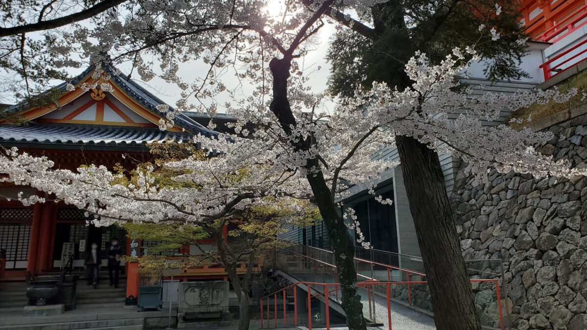 阿弥陀堂前