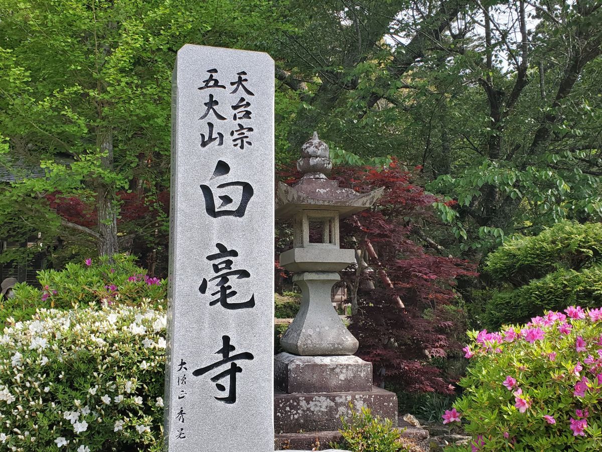 白毫寺(びゃくごうじ)