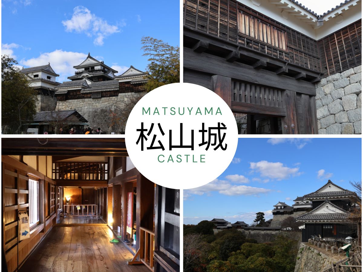 松山城(現存天守12城)