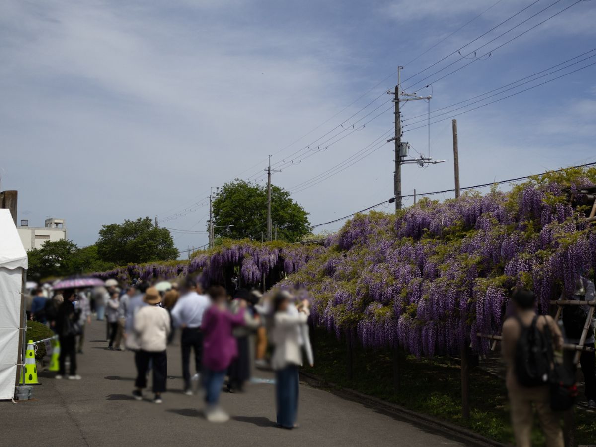 多くの来場者が行き交う通路。人を避けて撮るには工夫が必要