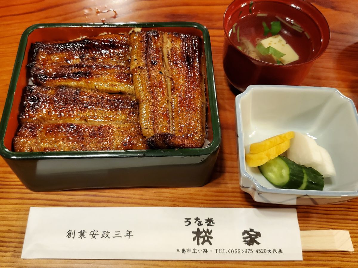 1匹半のうなぎ桜家